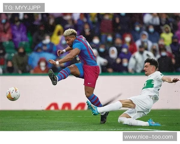 埃尔切足球俱乐部的辉煌历程与未来发展展望