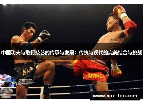 中国功夫与散打技艺的传承与发展：传统与现代的完美结合与挑战