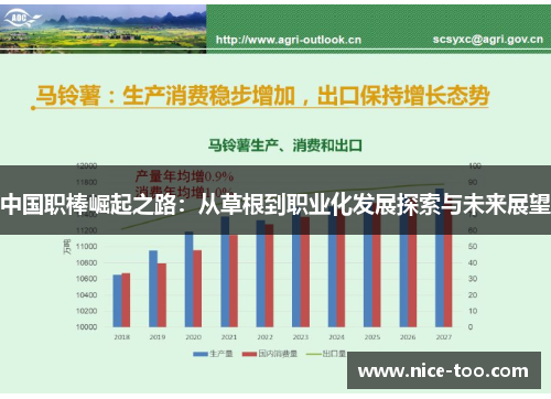 中国职棒崛起之路：从草根到职业化发展探索与未来展望